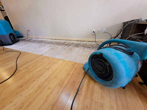 Professional Water Removal technician working in Plano, TX
